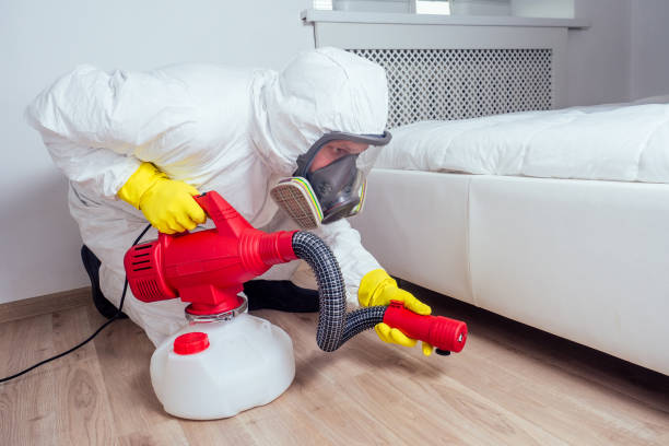 Best Pest Removal Services  in Christmas, FL