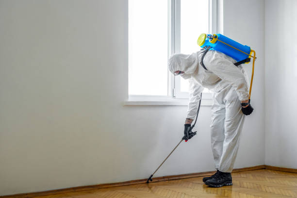 Best Best Pest Control Companies  in Christmas, FL