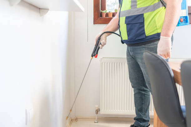 Best Wasp Removal Services  in Christmas, FL