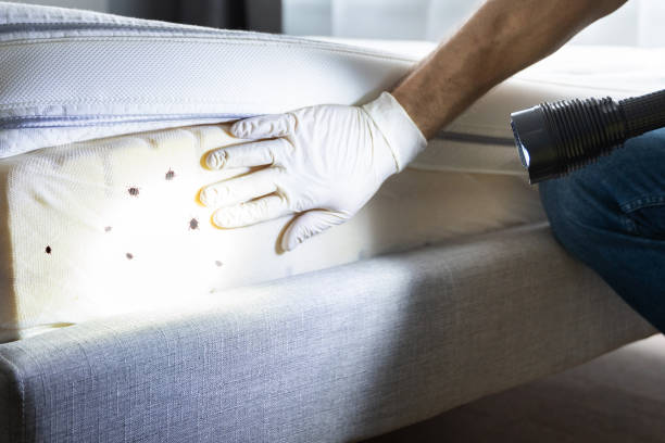 Best Best Pest Control Companies  in Christmas, FL